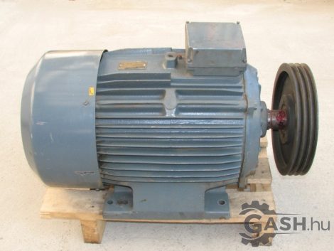 Villanymotor, FFD DPIG 180M/4 talpas 