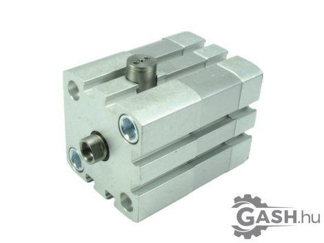 Munkahenger, Festo 548217 ADN-40-10-ELV-I-P-A 
