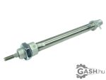 Munkahenger, Festo 193988 DSNU-12-100-P-A-Q 