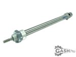 Munkahenger, Festo 193988 DSNU-12-125-P-A-Q 