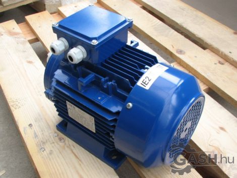 Villanymotor, Smem T2A 100LA4 