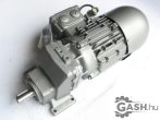   Hajtóműves motor, Theiss/weg AL80-04 HG51E81N4SG-263D25ZT0510/13069 