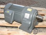 Hajtóműves motor, Wanshsin WSS 750W GH-28 0,75 kw