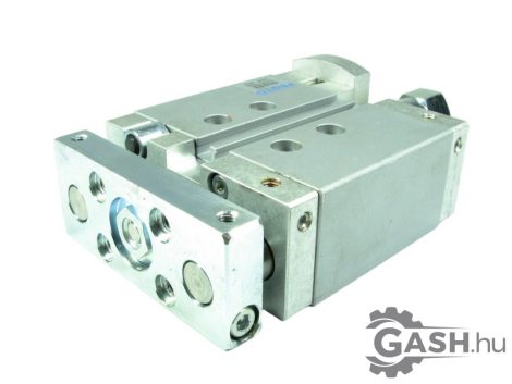 Munkahenger, Festo 532316 DFM-20-25-B-P-A-GF-AJ-EJ 
