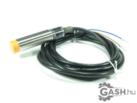 Induktív érzékelő, ifm electronic IG001A IGA2008-ABOA/3D 