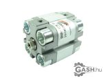Munkahenger, Camozzi 31F1A020A005 Ø20/5 