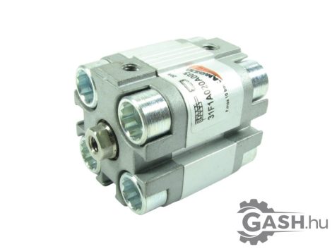 Munkahenger, Camozzi 31F1A020A005 Ø20/5 